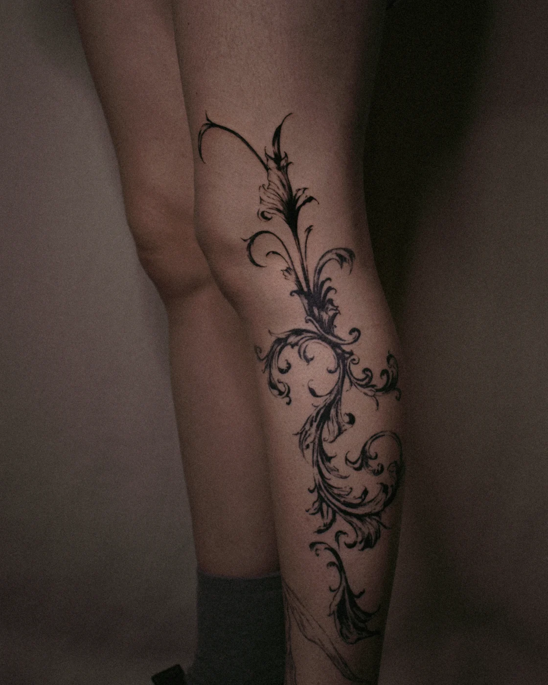 Healed, calf